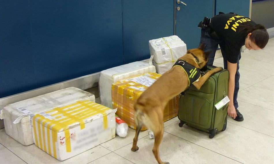 2015-3-12-818boxy foto 2.jpg